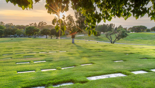 Community garden with a lawn crypt and bronze markers at Pacific View Memorial Park. 