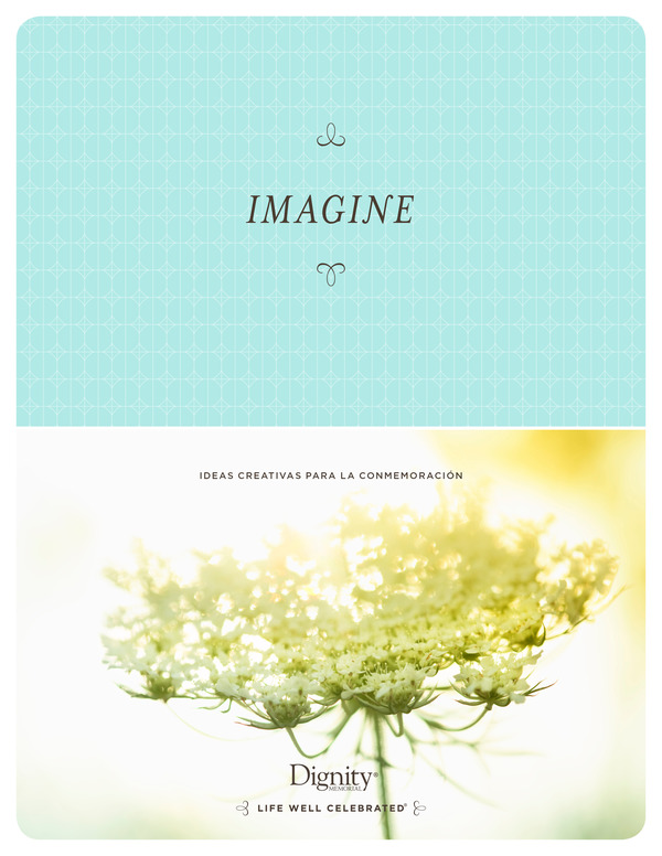 Imagine Guide Cover