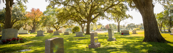 A large oak tree shades a community garden with assorted upright granite headstones at Forest Park Lawndale.