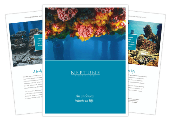 Neptune Memorial Reef Guide Image