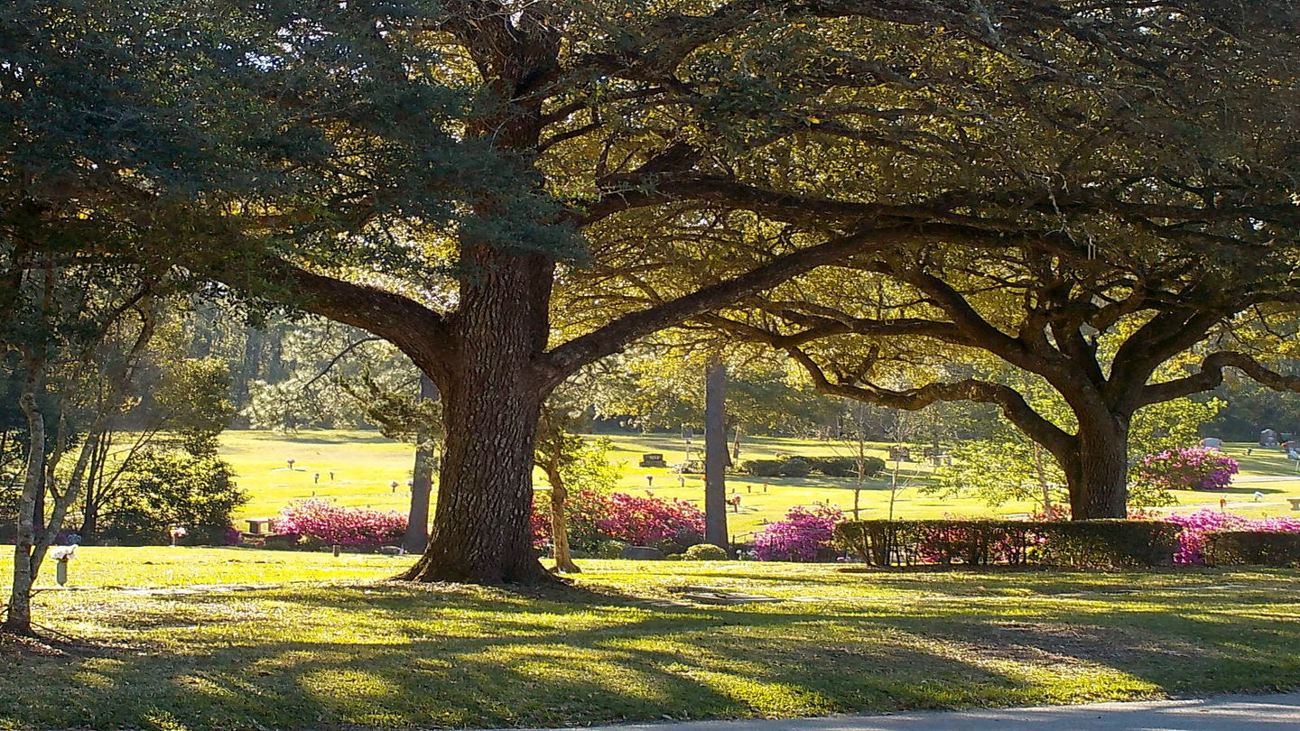 Forest Lawn Funeral Home Memorial Park Dignity Memorial