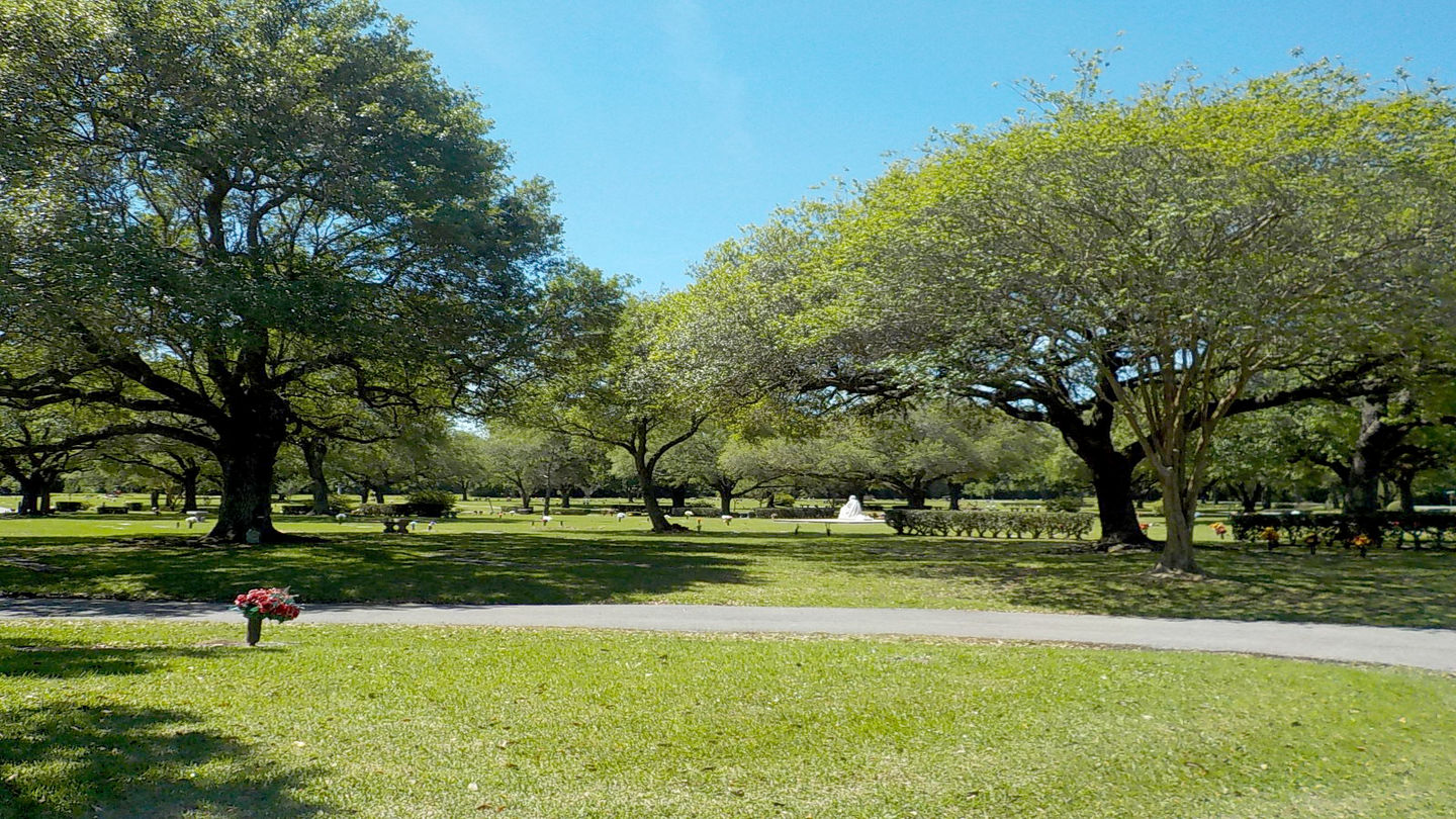 Forest Lawn Funeral Home Memorial Park Dignity Memorial