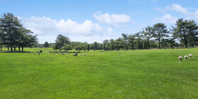 Cemetery grounds at Cedar Hill Cemetery