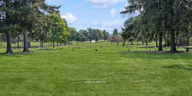 Cemetery grounds at Forest Lawn Memorial Gardens